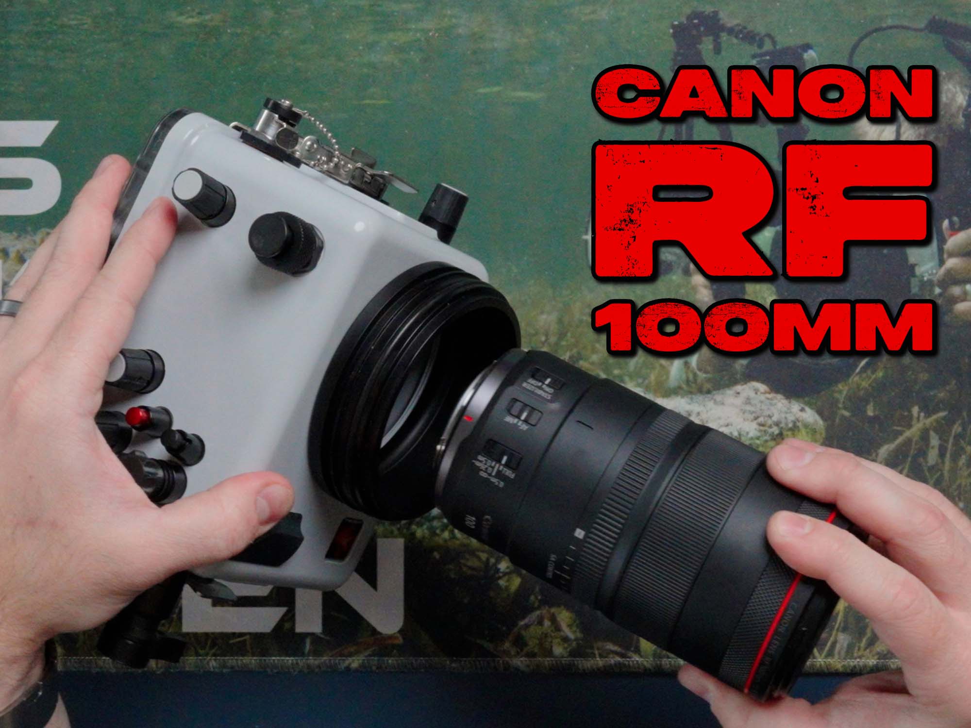 The Best Canon RF-Mount Lenses for DLM Underwater Housings