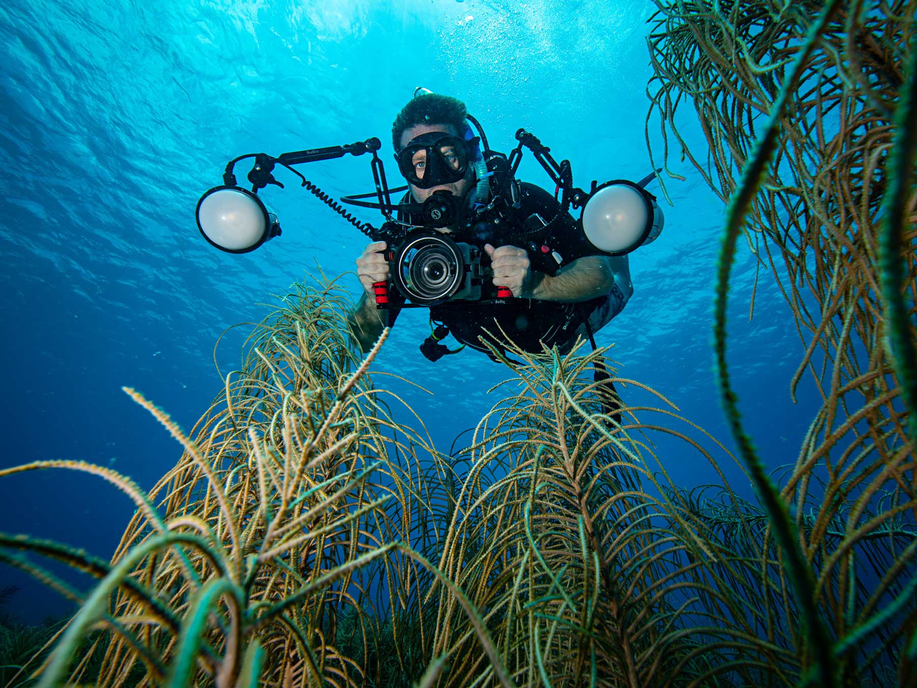 The Best Mid-Range Camera Underwater By the Specs