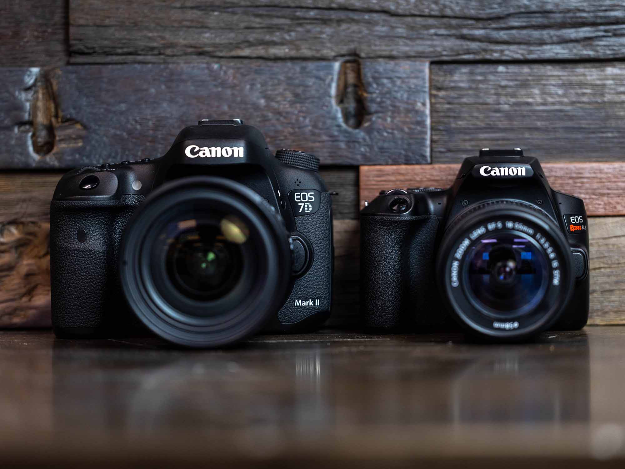 Canon EOS 250D Rebel SL3 review - IN DEPTH! 