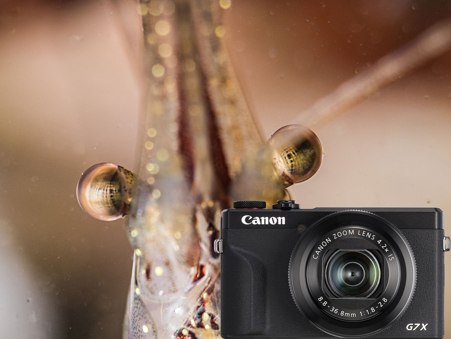First Look Canon PowerShot G7 X Mark III Underwater Housing