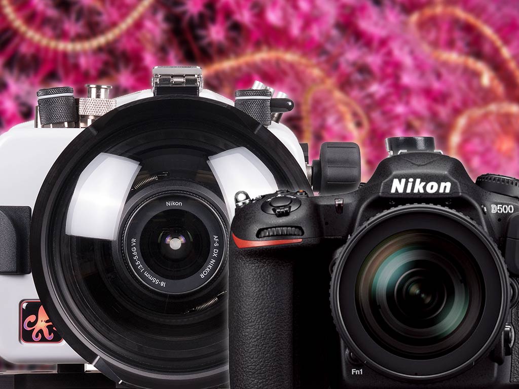 200DL Underwater Housing for Nikon D500 DSLR Cameras