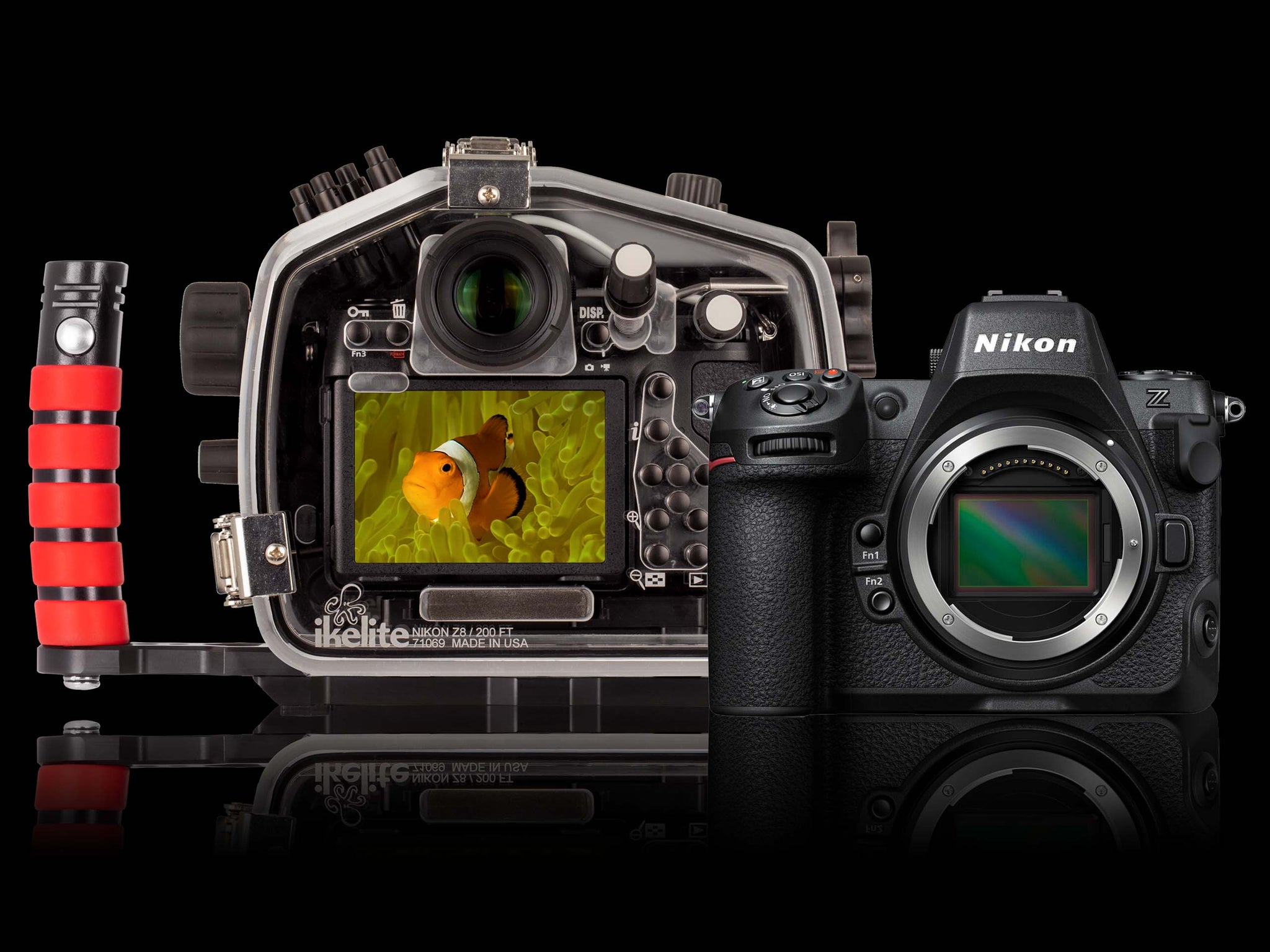Nikon D750 Review - initial thoughts and video footage