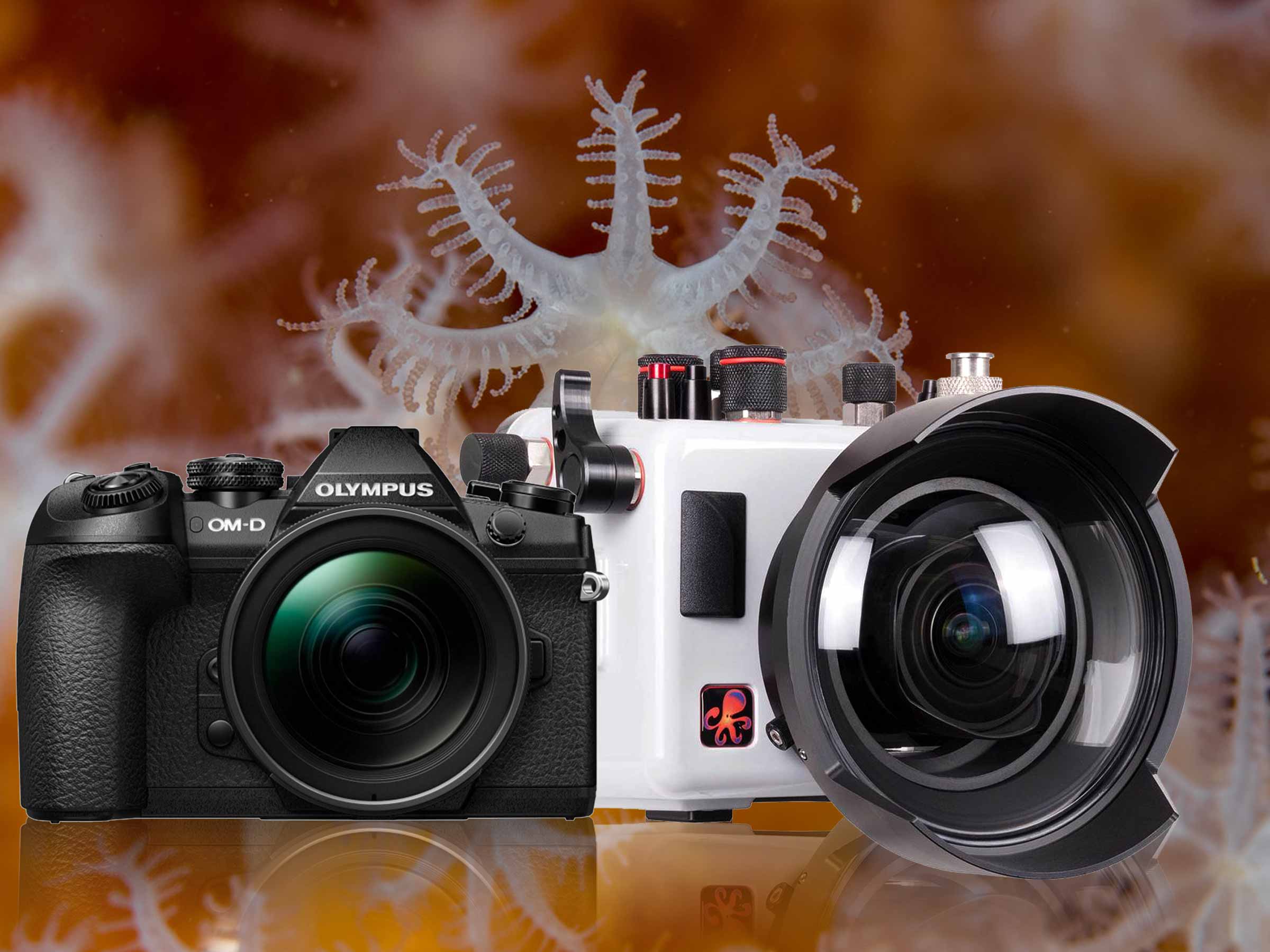 Olympus OM-D E-M1 Mark II Underwater Housing & Camera Review