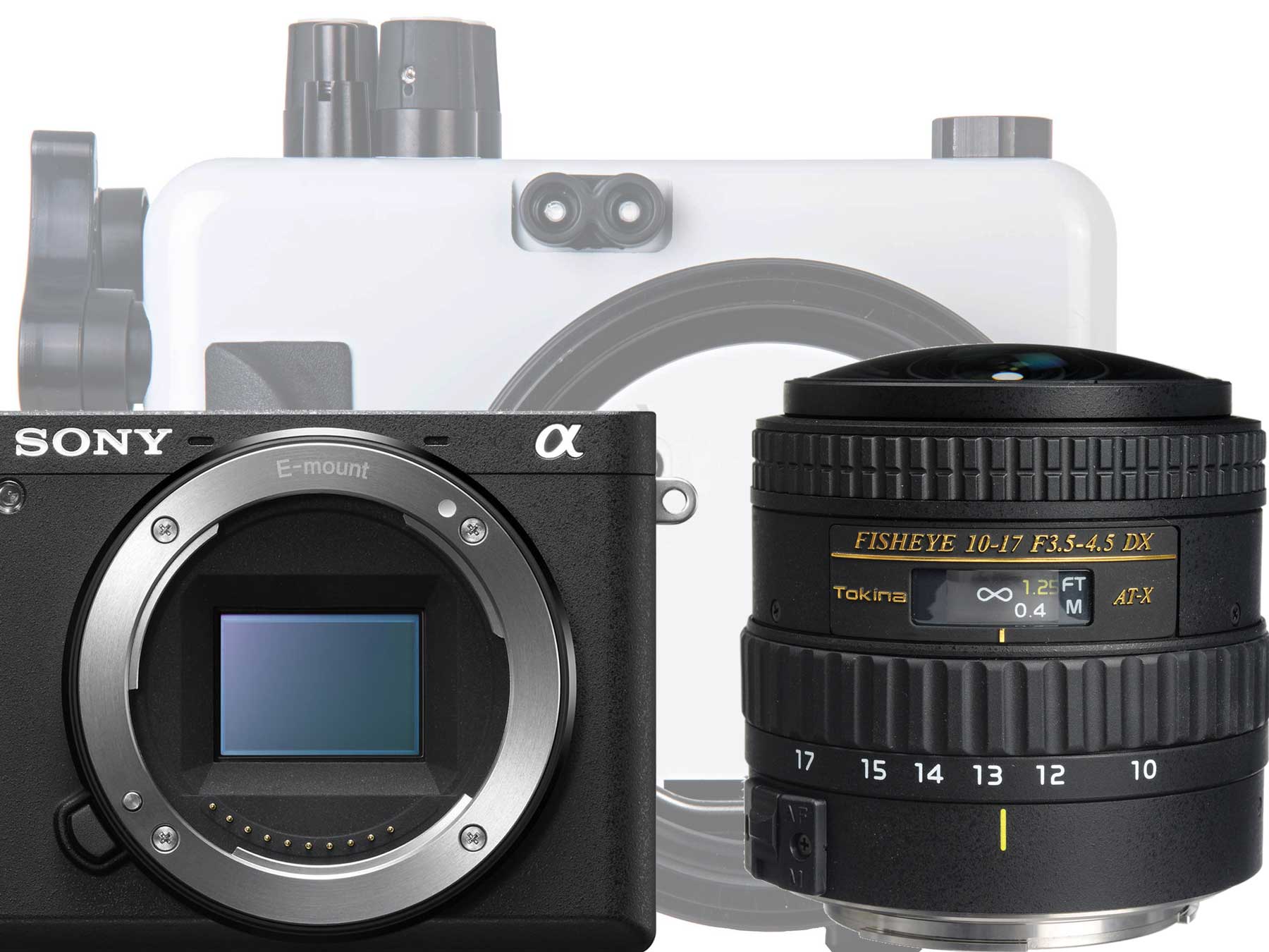 Using the Tokina 10-17mm Fisheye Sony APS-C Mirrorless and DLM/A Port