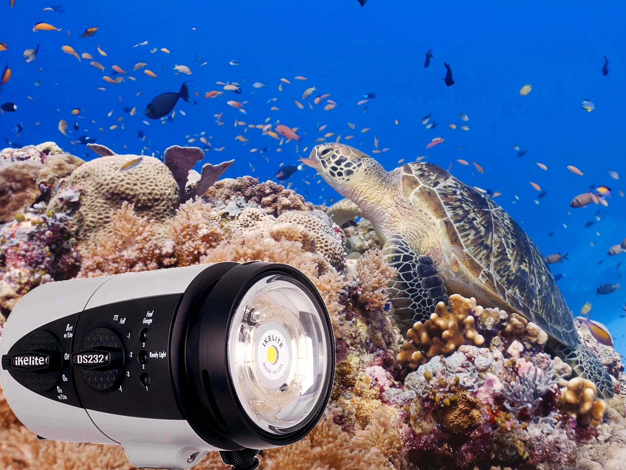 DS232 Strobe + Video Light Hybrid Flash Underwater in the Philippines [VIDEO]