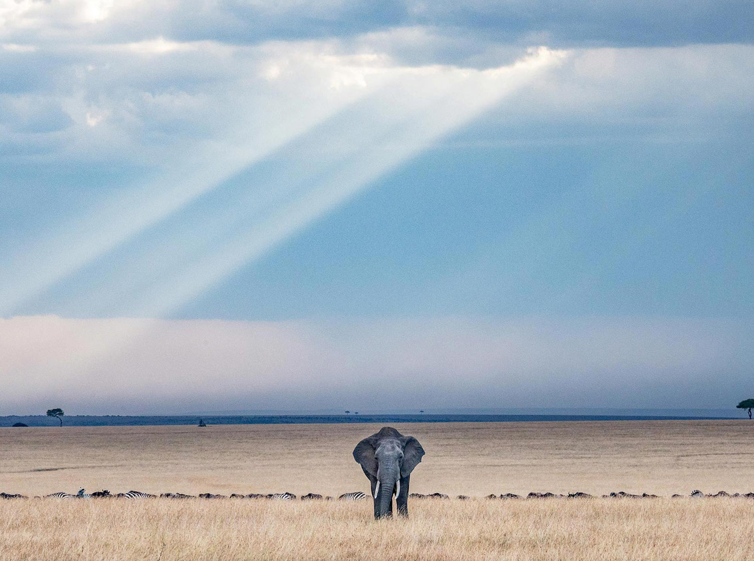 Sharp Shooting: Developing Underwater Photography Skills on Safari