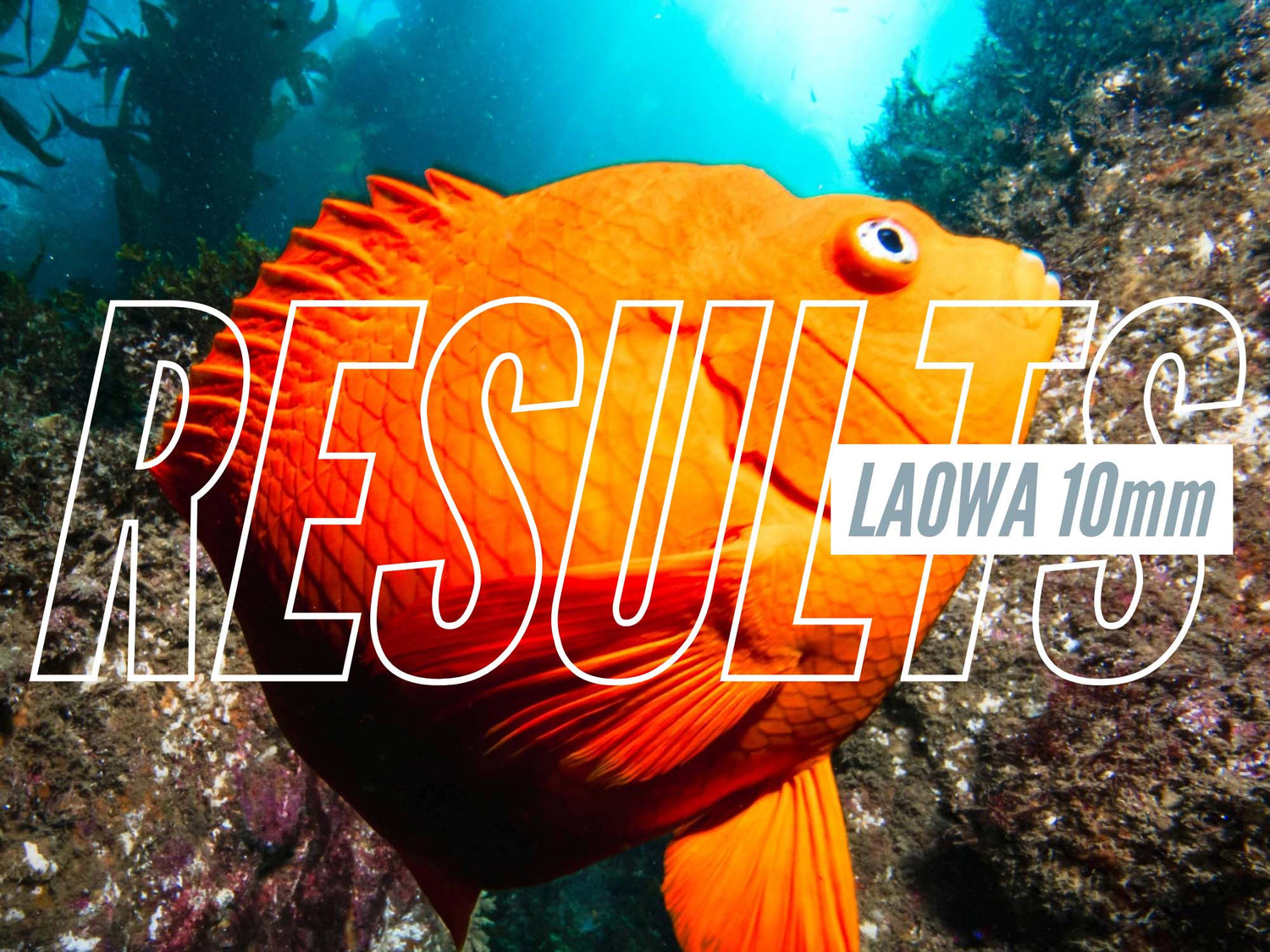 Laowa 10mm FIRST RESULTS Underwater with the Sony a7CR [VIDEO]