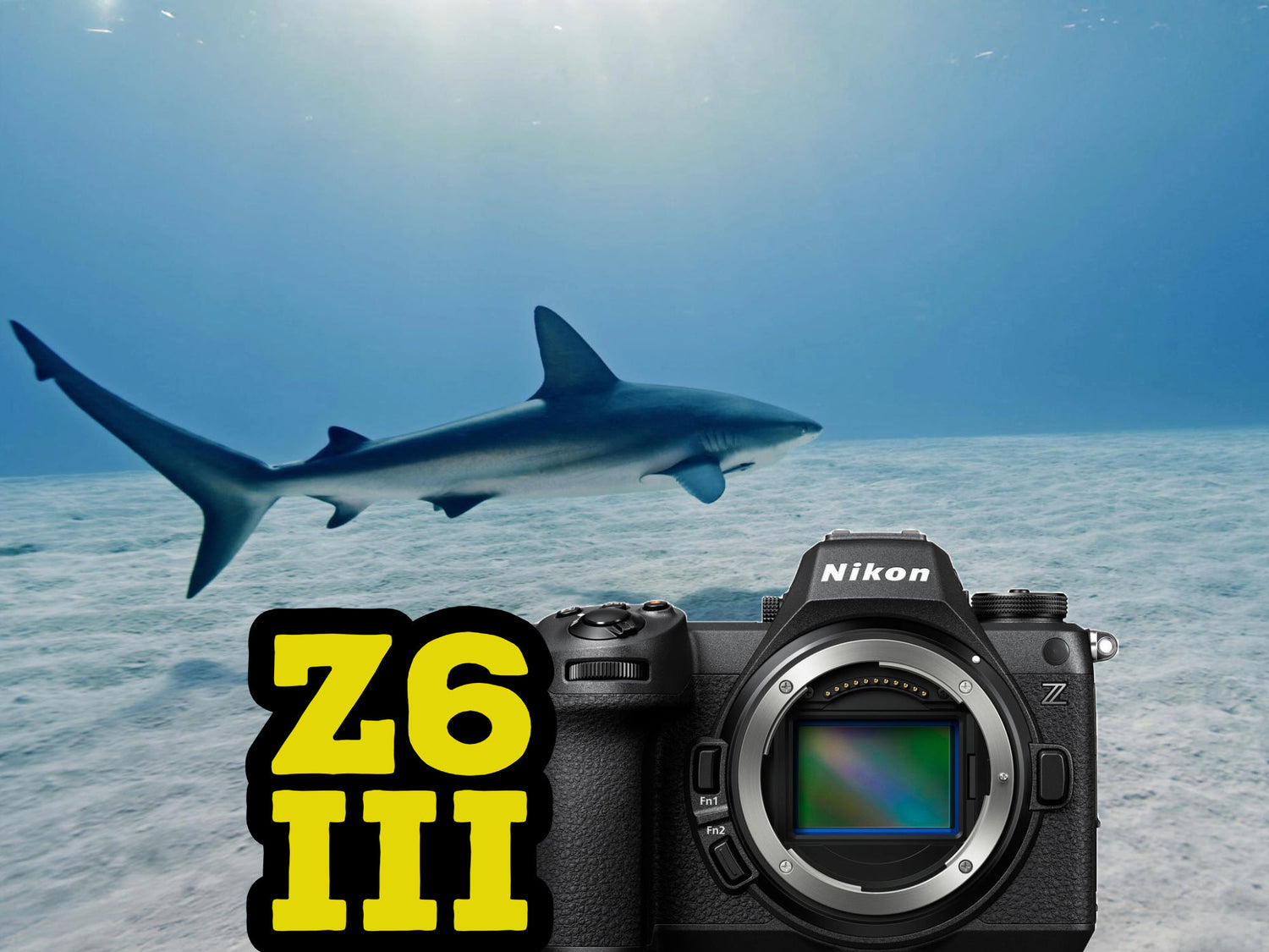 Nikon Z6 III Underwater 4K in Little Cayman [VIDEO]