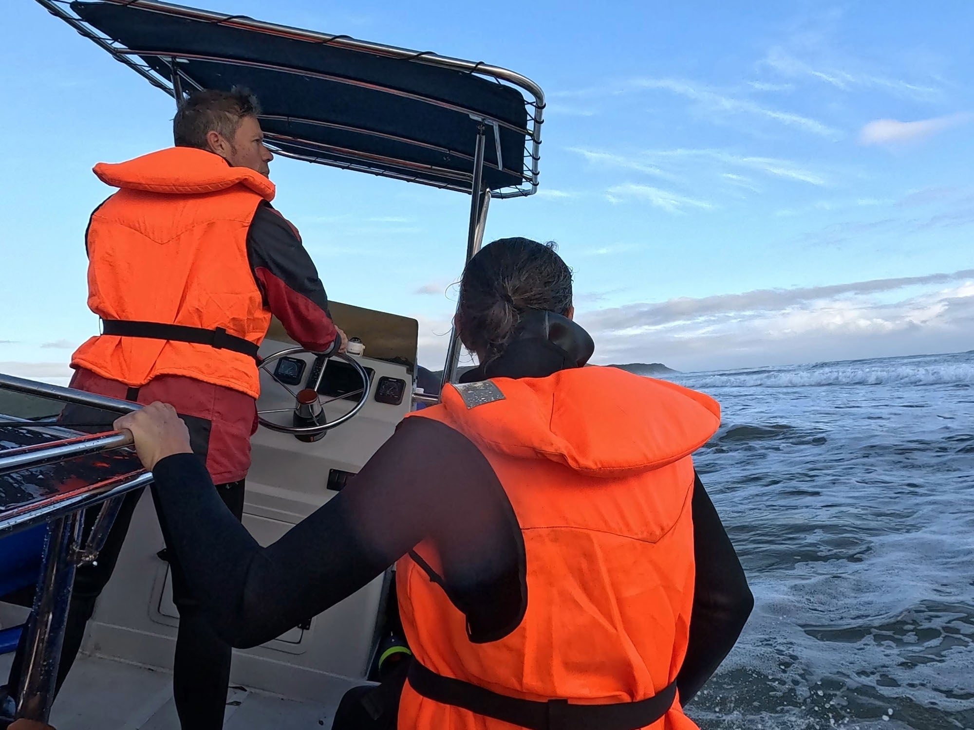 Chasing the Sardine Run Underwater in South Africa [VIDEO]