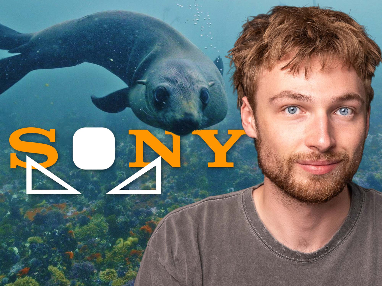 Sony Custom White Balance Shortcut for Use in Underwater Housings [VIDEO]