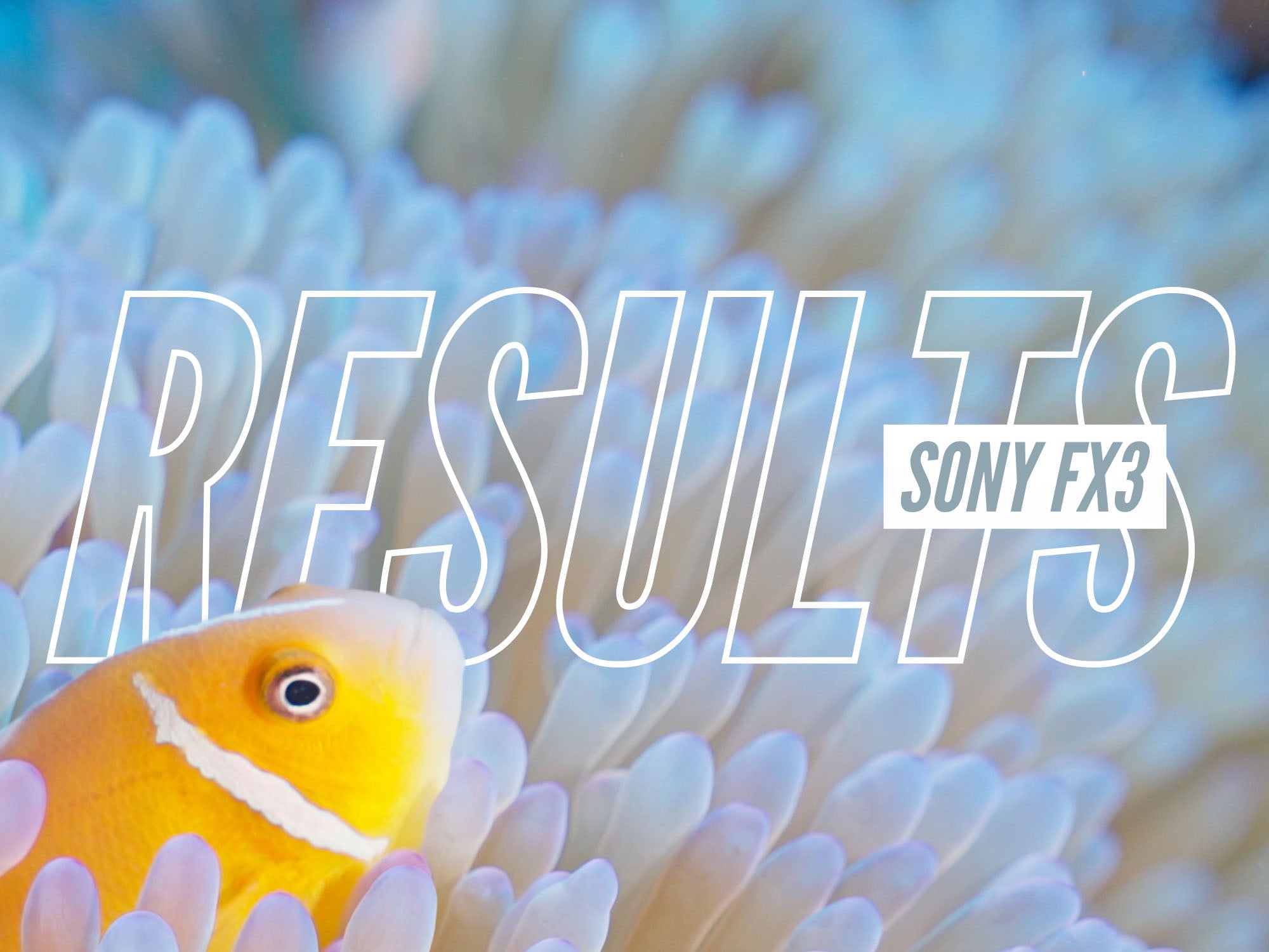 Sony FX3 UNDERWATER RESULTS from Yap, Micronesia // Ikelite 200DL Underwater Housing [VIDEO]