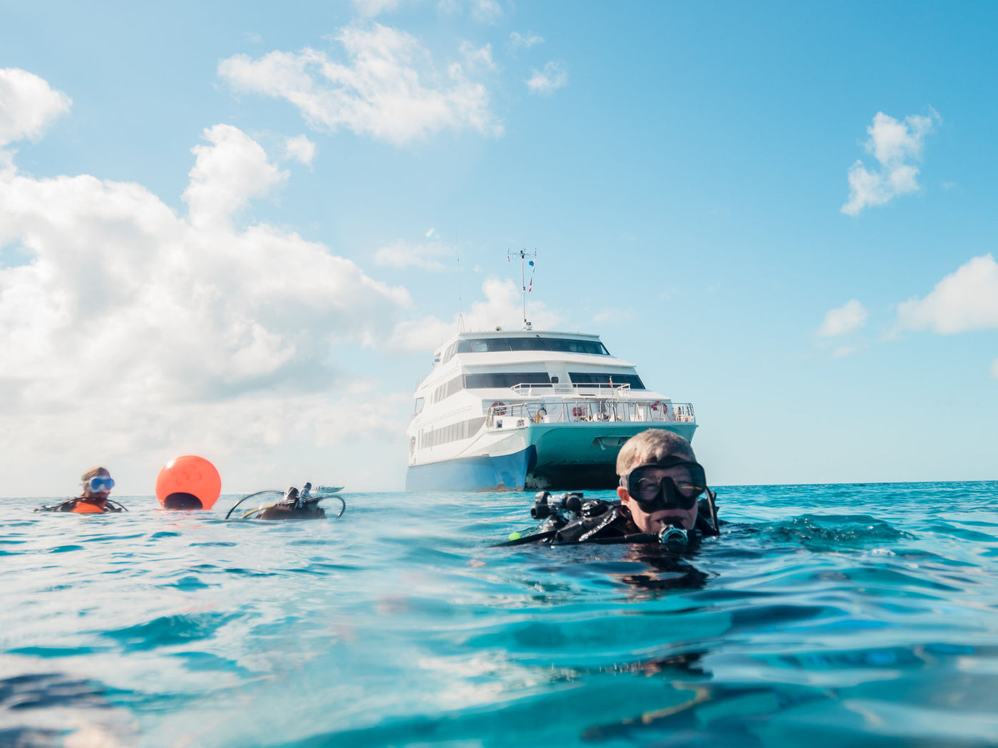 Aqua Cat Bahamas // Best Dive Liveaboards for Underwater Photography