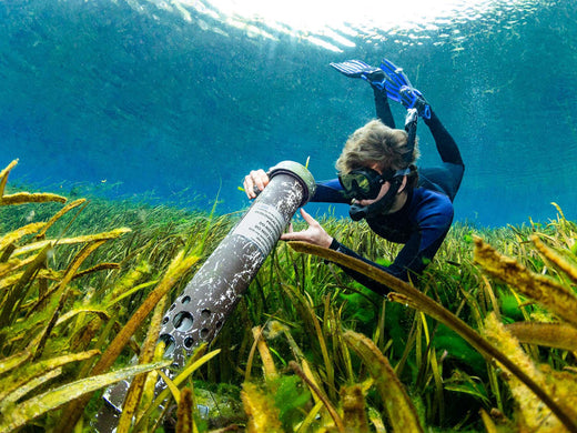 From Research to Outreach: Underwater Photography as a Tool for Science