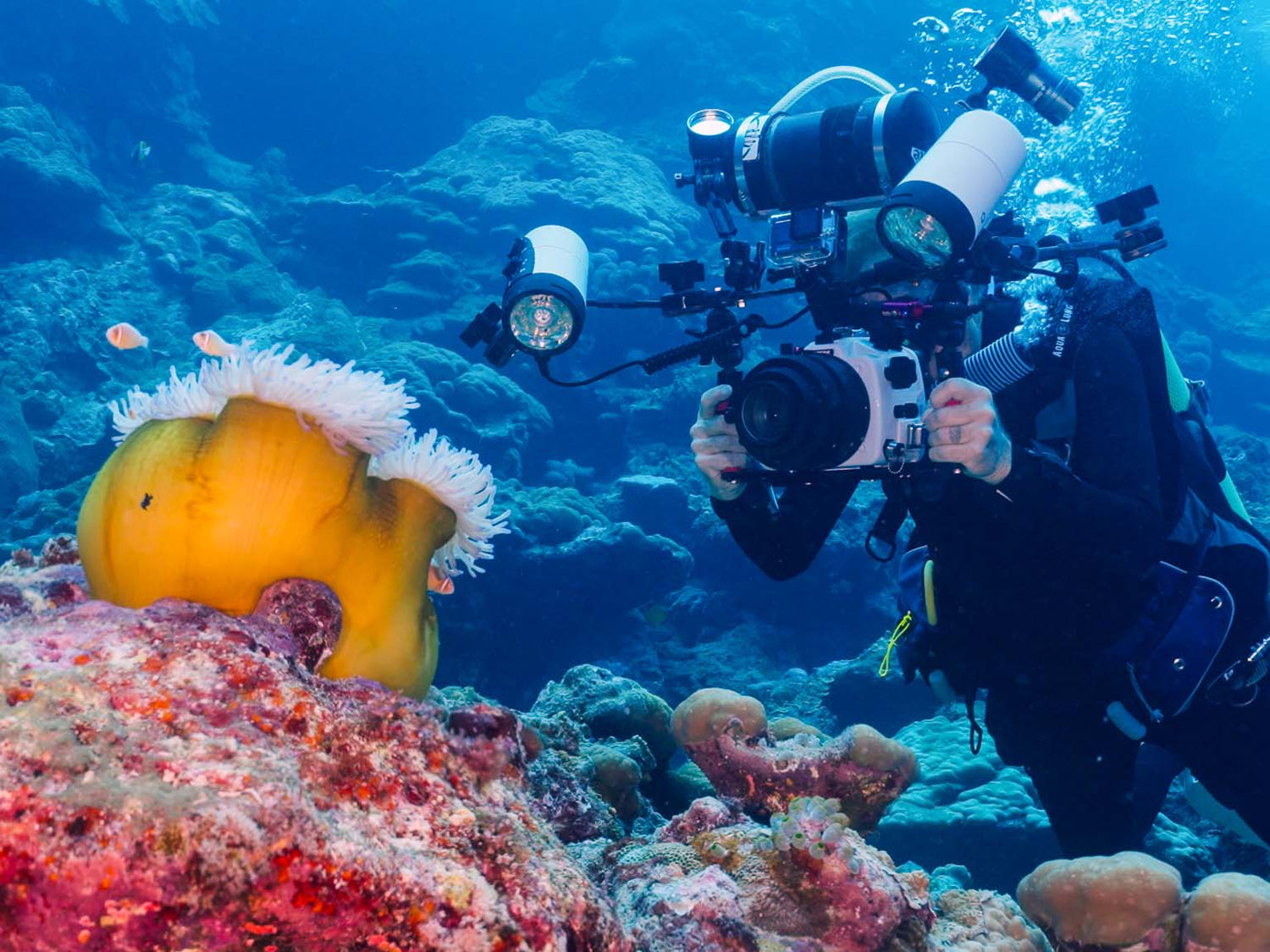 Underwater Photographers' Paradise + Prizes...?! Traveling to Yap, Micronesia for MantaFest [VIDEO]