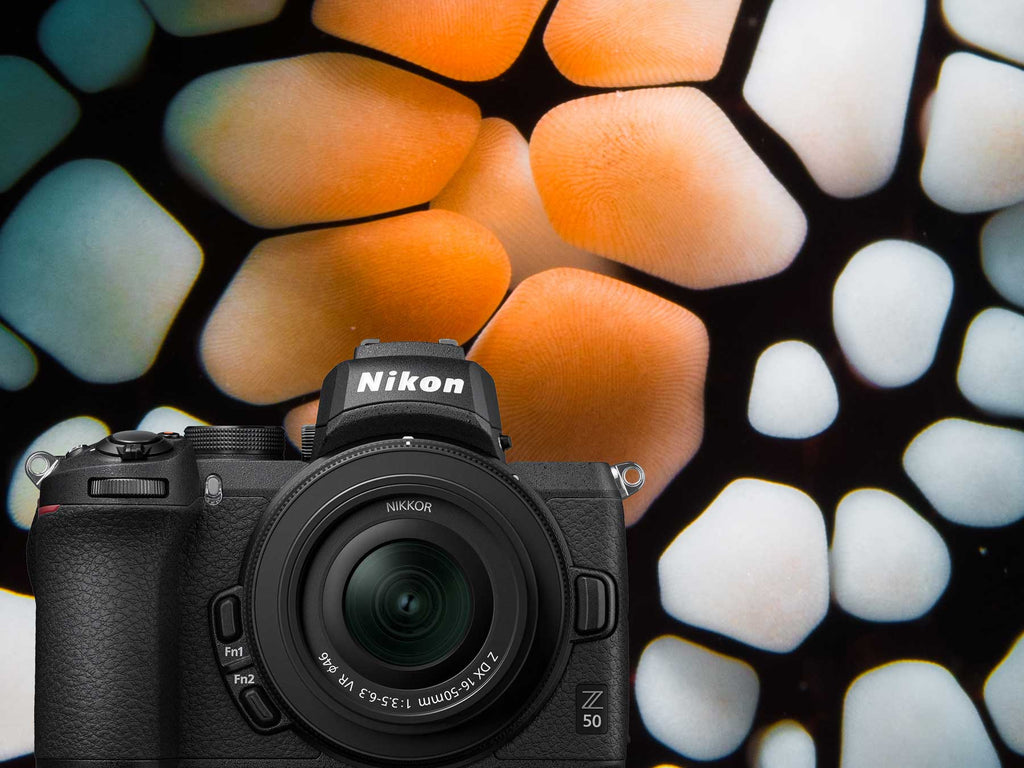 nikon z50 underwater