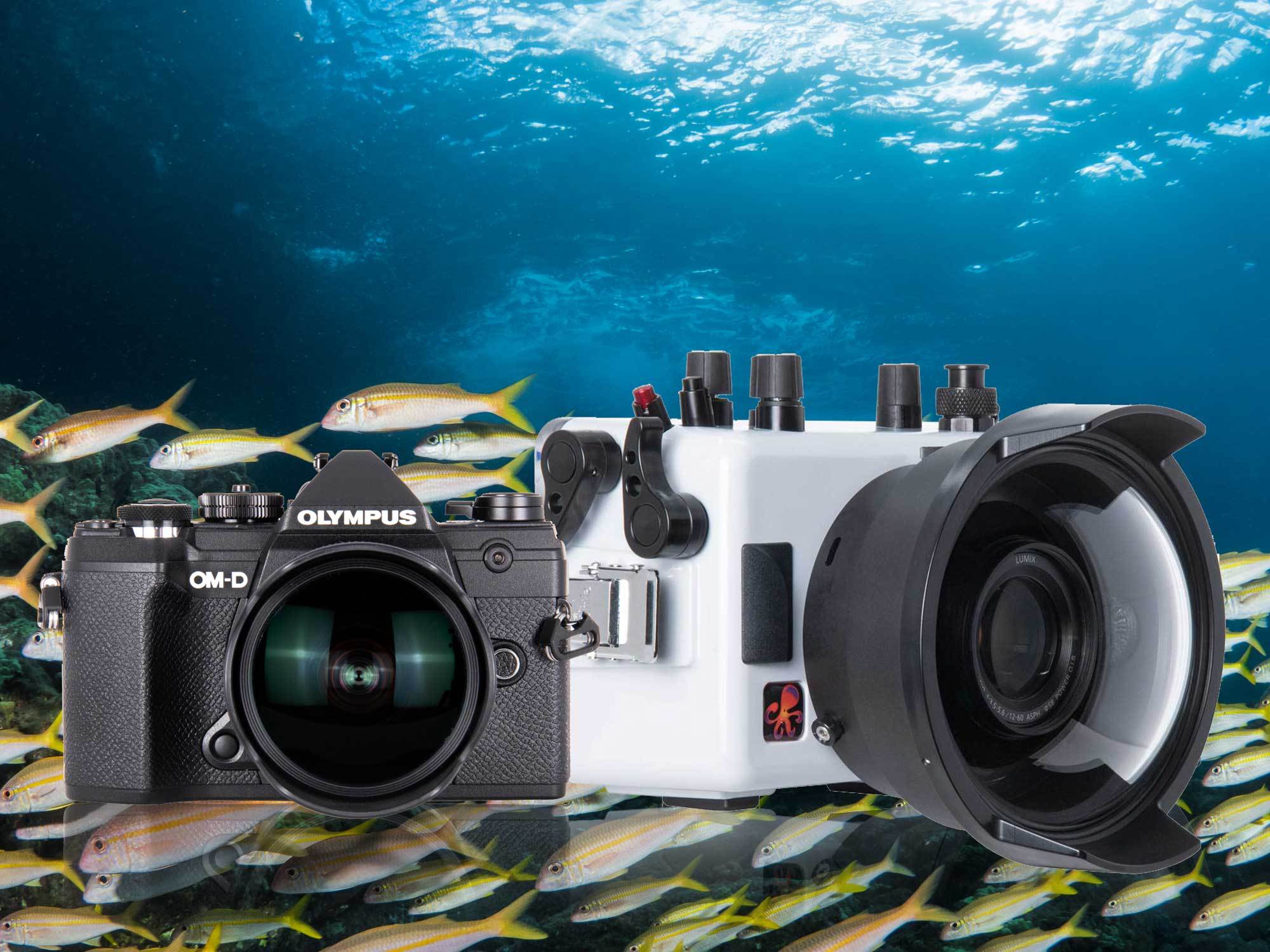 First Look Olympus OM-D E-M5 III Underwater Housing