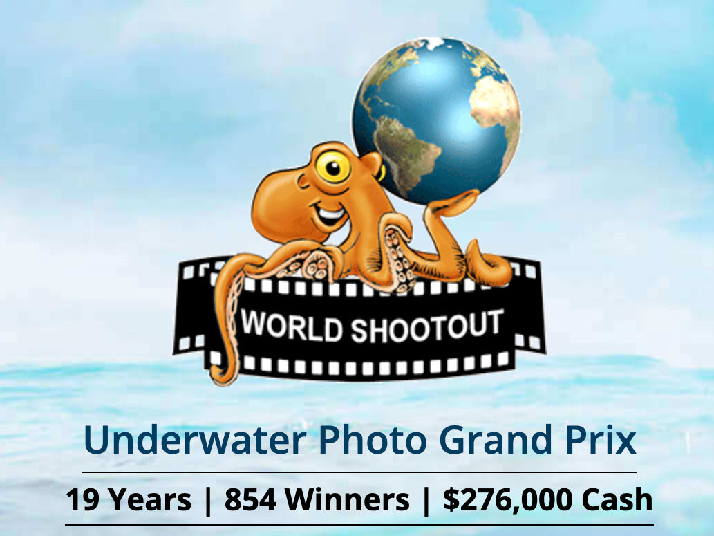 Behind the Shots: World Shootout Photo Competition 2024