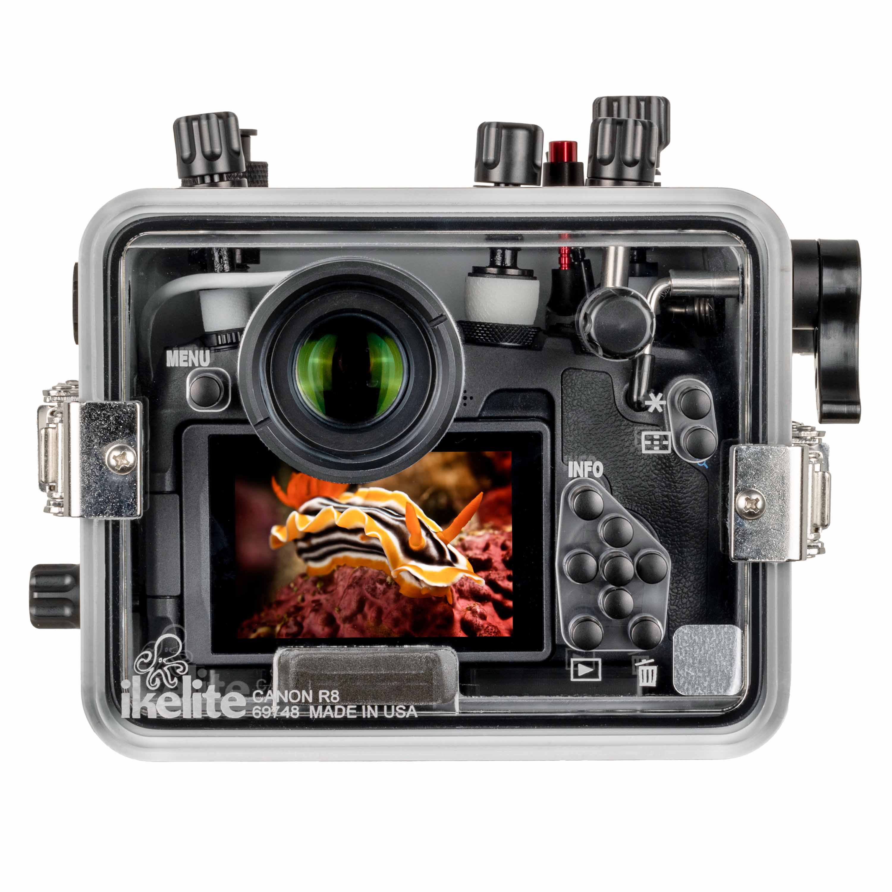 Ikelite 200DLM/D Underwater Housing for Canon EOS R8