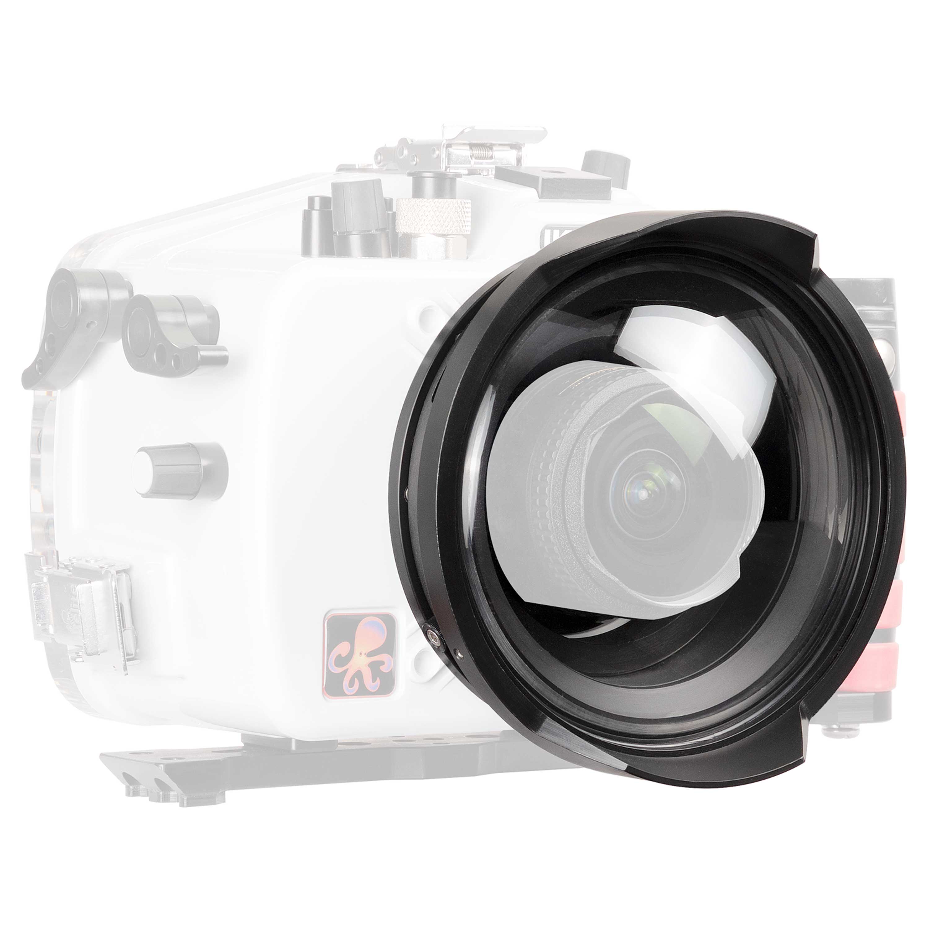 DL Compact 8 inch Dome Port Extended